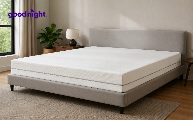 Nệm 20cm: TOP 7 mẫu nệm chất lượng & Bảng giá chi tiết 3 Nệm Foam
