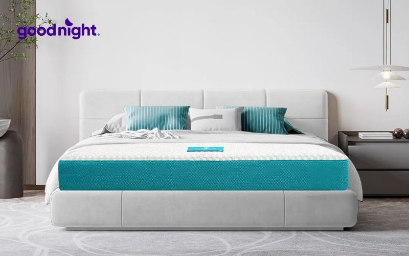 Nệm 20cm: TOP 7 mẫu nệm chất lượng & Bảng giá chi tiết 6 Nệm foam Nhật Bản Aeroflow Fit Plus