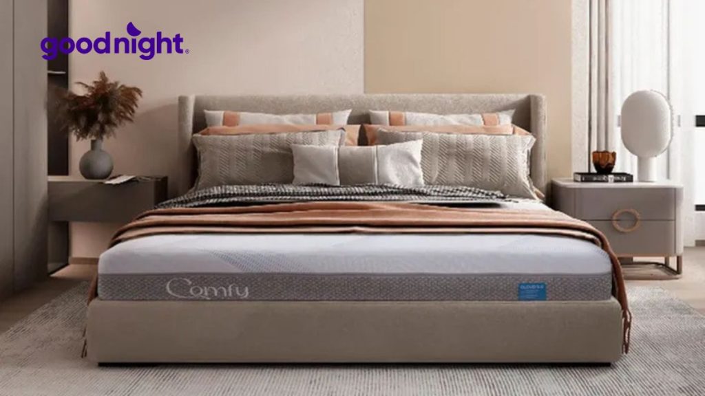 Bảng giá nệm 2mx2m và kinh nghiệm chọn nệm chất lượng 1 Bảng giá nệm 2mx2m và kinh nghiệm chọn nệm chất lượng