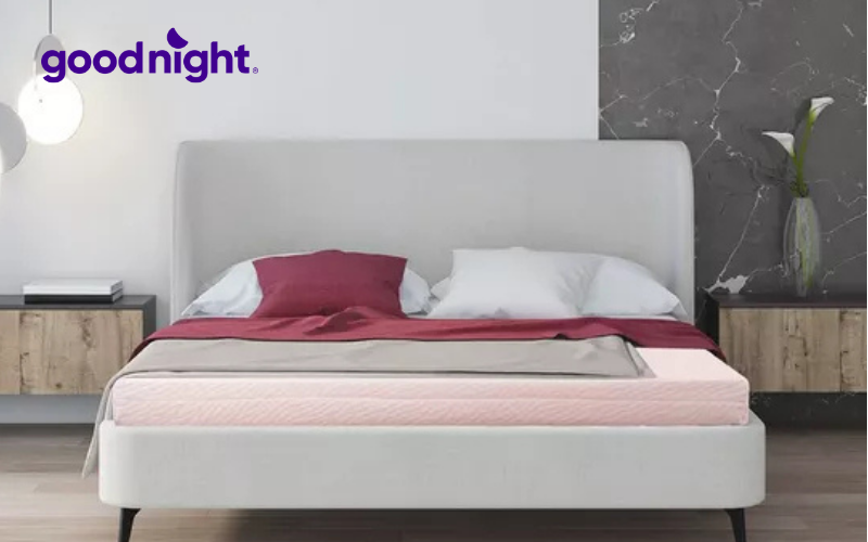 Bảng báo giá nệm 5cm cập nhật mới nhất năm 2025 2 Nệm 5cm từ cao su thiên nhiên