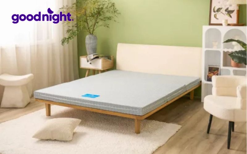 Bảng báo giá nệm 5cm cập nhật mới nhất năm 2025 5 Nệm bông ép 5cm