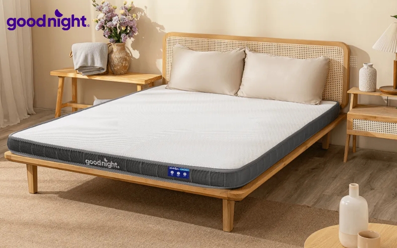 TOP 5 mẫu nệm 5cm bán chạy, uy tín 2026 10 Goodnight còn mang đến nhiều chính sách mua sắm hấp dẫn