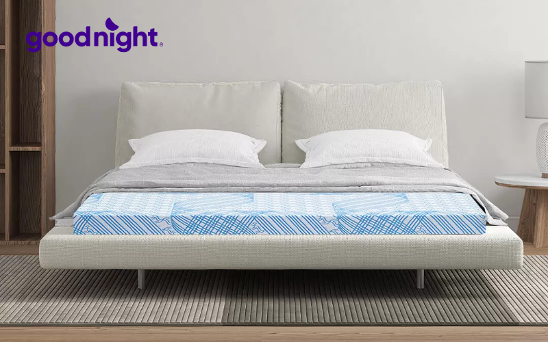 Nệm bông ép gấp 3 là gì? Top 5 sản phẩm nệm được ưa chuộng hiện nay 8 Nệm bông ép cao su hydrid Kim Cương Titanium