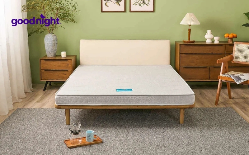 TOP 10 mẫu nệm bông ép bán chạy, nâng đỡ tốt hiện nay 4 Nệm bông ép nguyên tấm (nệm thẳng)