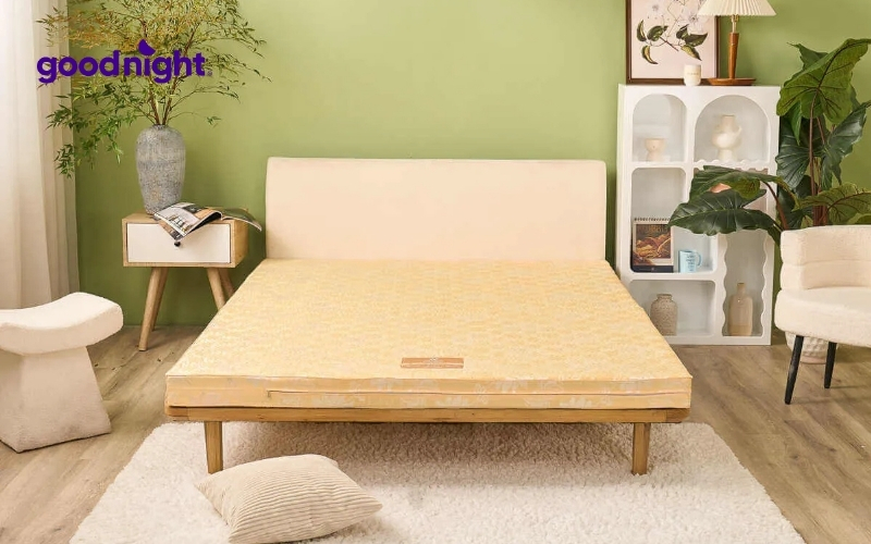 TOP 10 mẫu nệm bông ép bán chạy, nâng đỡ tốt hiện nay 5 Nệm bông ép hybrid