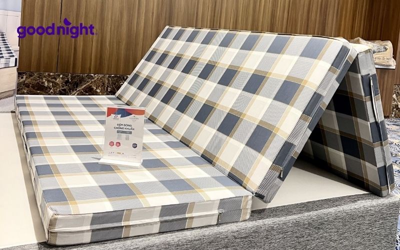 TOP 10 mẫu nệm bông ép bán chạy, nâng đỡ tốt hiện nay 11 Nệm bông ép Hanvico Nano Kháng Khuẩn