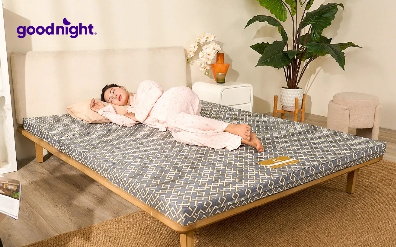 TOP 10 mẫu nệm bông ép bán chạy, nâng đỡ tốt hiện nay 13 Người cần nệm phụ cho khách