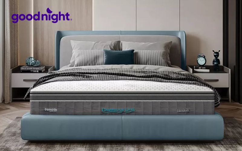 Danh sách 15 mẫu nệm cao cấp, chất lượng vượt trội năm 2025 32 Dunlopillo Cambridge Luxe nổi bật với thiết kế 11 lớp lõi và độ dày lên đến 34cm