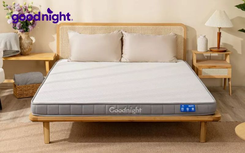 Nệm cao su là gì? 5 yếu tố cần cân nhắc để lựa chọn nệm chất lượng 6 Nệm cao su thương hiệu Goodnight