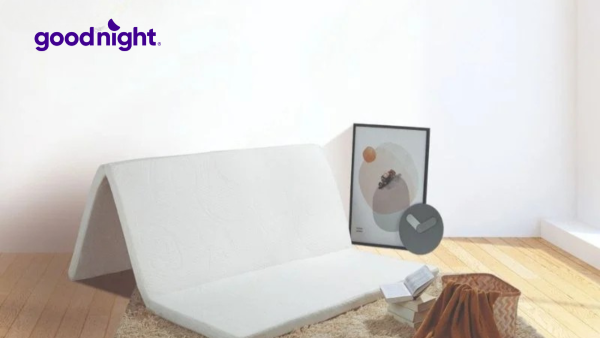 Nệm cao su gấp 3 loại nào tốt? Top 5 sản phẩm nệm đáng mua nhất