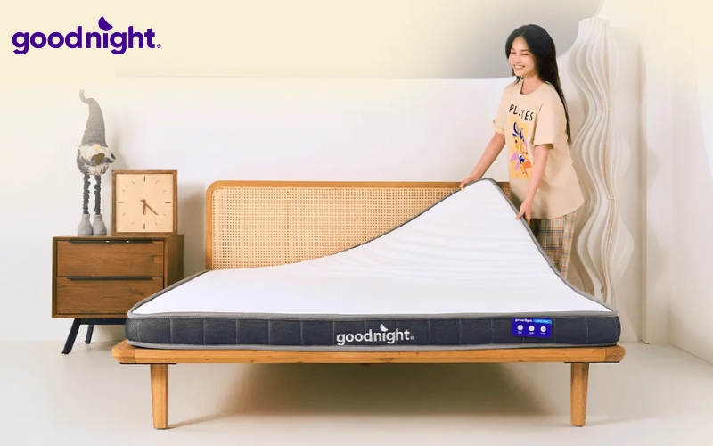 11 dòng nệm cao su mỏng chất lượng, giá tốt năm 2026 11 Goodnight là lựa chọn được nhiều người tiêu dùng đánh giá cao