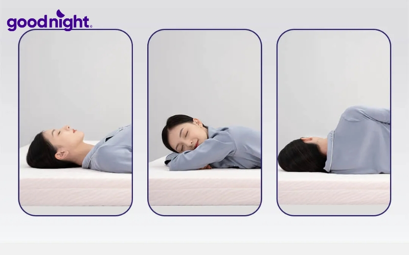 11 dòng nệm cao su mỏng chất lượng, giá tốt năm 2026 4 Sở hữu thiết kế gọn nhẹ, vẫn đảm bảo độ đàn hồi và khả năng nâng đỡ cơ thể, nệm cao su mỏng phù hợp với khá nhiều đối tượng