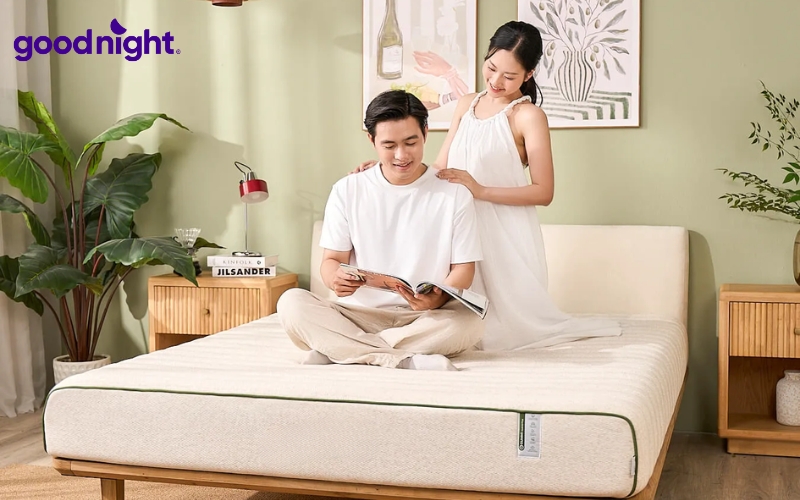 11 dòng nệm cao su mỏng chất lượng, giá tốt năm 2026 9 Hybrid Plus