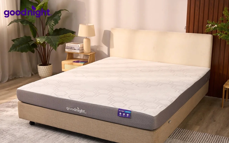 Cách chọn nệm cho bé sơ sinh & TOP 5 mẫu nệm giúp ngủ ngon 3 Nệm Goodnight Hachi