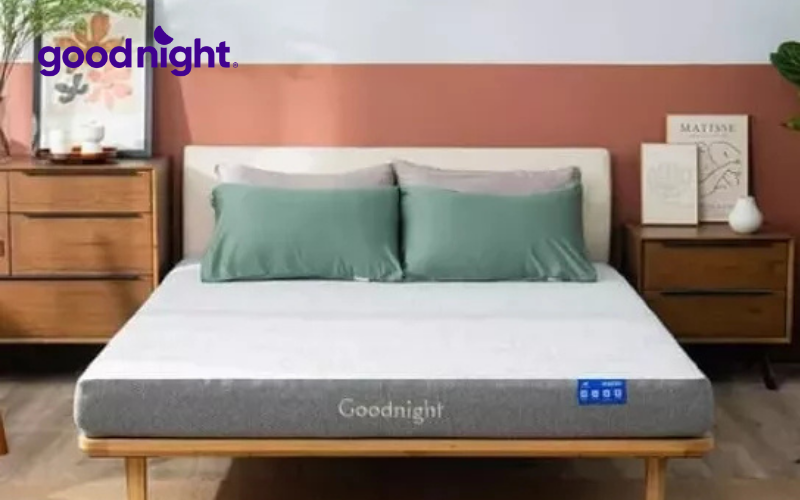 Khám phá 7 mẫu nệm cuộn được ưa chuộng trên thị trường hiện nay 4 Nệm Goodnight Hachi
