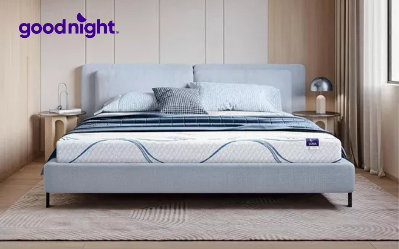 Khám phá 7 mẫu nệm cuộn được ưa chuộng trên thị trường hiện nay 5 Nệm Goodnight Luna