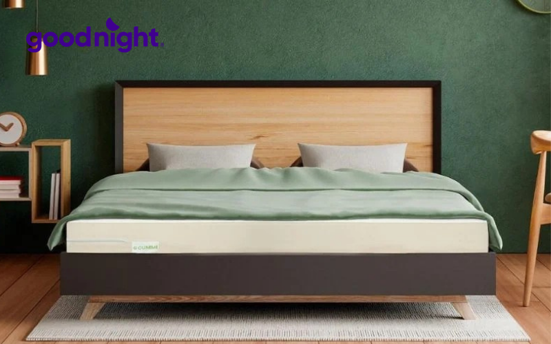 Nệm điều hòa là gì? Hướng dẫn chọn mua nệm điều hòa chất lượng 5 Gummi Classic