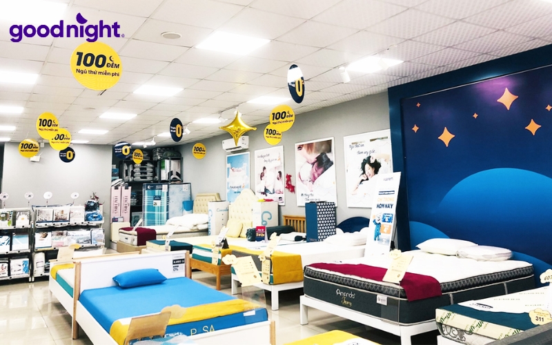 Bảng giá nệm đơn chất lượng & TOP 10 mẫu nệm đơn chất lượng 12 Các sản phẩm của Goodnight được nghiên cứu nhằm mang lại khả năng nâng đỡ cột sống tối ưu