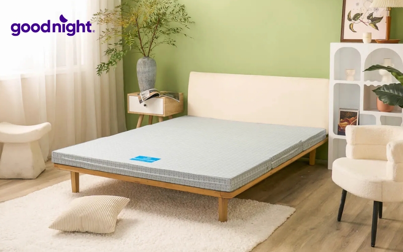 Bảng giá nệm đơn chất lượng & TOP 10 mẫu nệm đơn chất lượng 3 Nệm bông ép