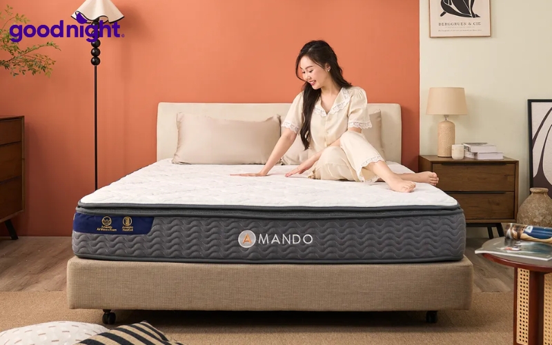 Bảng giá nệm đơn chất lượng & TOP 10 mẫu nệm đơn chất lượng 10 Amando Elite Original
