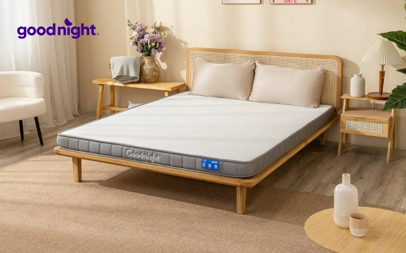 Top 10 mẫu nệm êm như khách sạn được nhiều người ưa chuộng 5 Nệm Cao Su Goodnight Latex Hybrid (Rena)