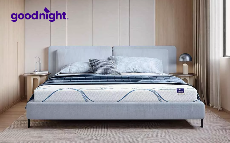 Pu Foam là gì? Đặc điểm và ứng dụng nổi bật của Pu Foam 6 Nệm foam Goodnight Hachi 15cm kháng khuẩn với lớp vỏ Bamboo tối ưu