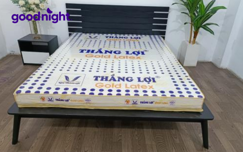 Nệm Foam Latex là gì? Top 5 loại nệm chất lượng và được yêu thích 3 Nệm Gold Latex Thắng Lợi