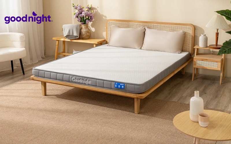 Nệm Foam Latex là gì? 5 mẫu nệm chất lượng, được yêu thích 5 Goodnight Latex Hybrid