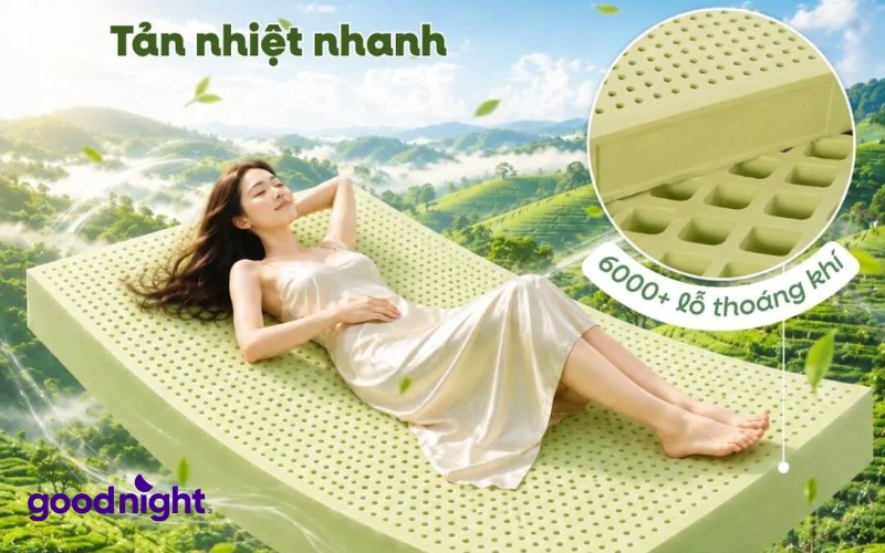 Nệm foam trà xanh là gì? TOP 5 sản phẩm chất lượng 3 Nệm foam trà xanh được thiết kế với cấu trúc đặc biệt, gồm một hoặc nhiều lớp foam xếp chồng lên nhau