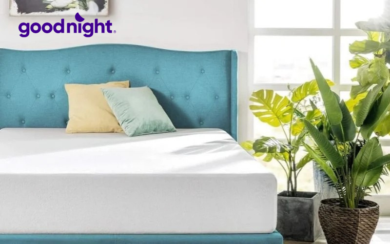 4 lý do khiến bạn không thể bỏ qua mẫu nệm foam trà xanh 4 Nệm không có mùi hôi