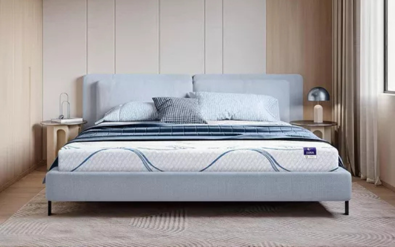 4 lý do khiến bạn không thể bỏ qua mẫu nệm foam trà xanh 5 Goodnight Luna 3zones