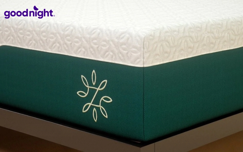 Nệm foam trà xanh là gì? TOP 5 sản phẩm chất lượng 7 Zinus Memory Foam Gel Trà Xanh