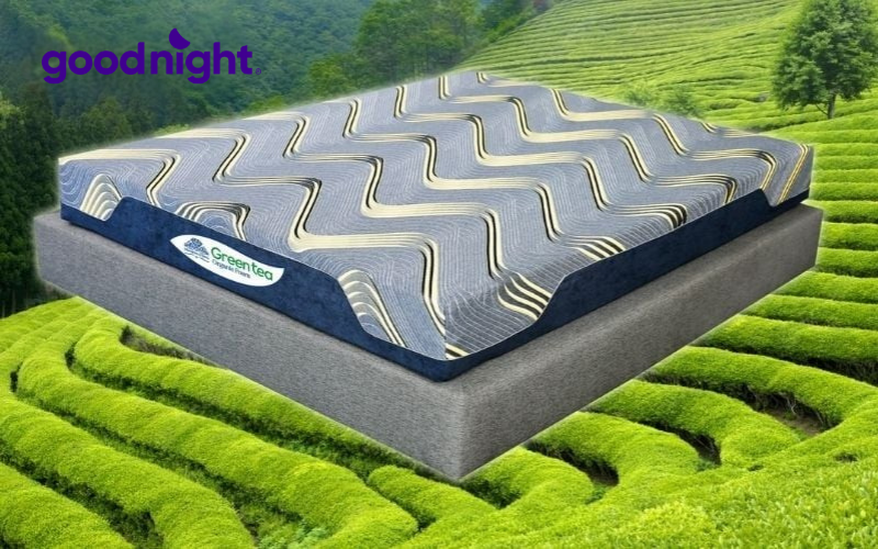 4 lý do khiến bạn không thể bỏ qua mẫu nệm foam trà xanh 8 Nệm foam trà xanh Organic Kim Cương
