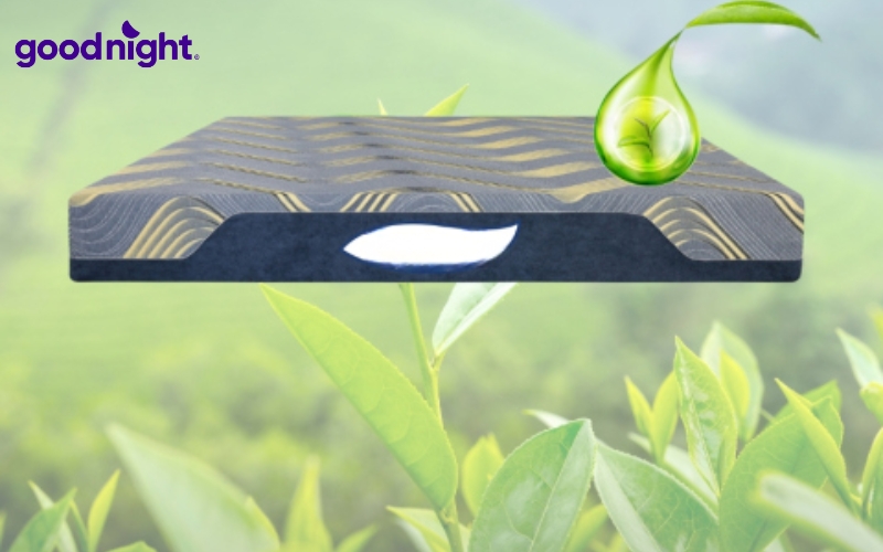 Nệm foam trà xanh là gì? TOP 5 sản phẩm chất lượng 9 Nệm Foam Trà Xanh Organic Kim Cương