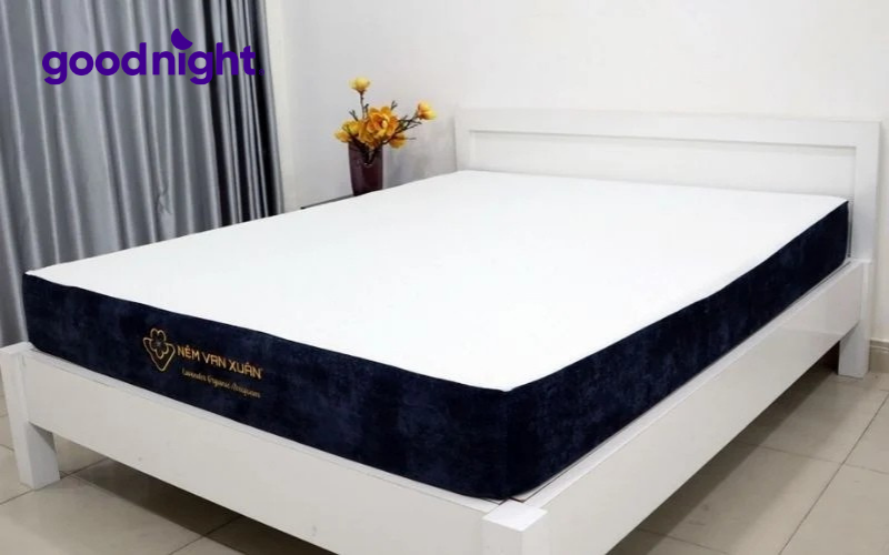 4 lý do khiến bạn không thể bỏ qua mẫu nệm foam trà xanh 9 Nệm foam trà xanh Lavender Organic Aerofoam