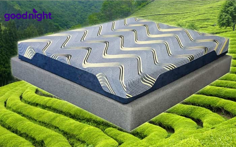 Nệm foam trà xanh là gì? TOP 5 sản phẩm chất lượng 2 Nệm foam trà xanh là dòng nệm mút hoạt tính được tích hợp tinh chất trà xanh
