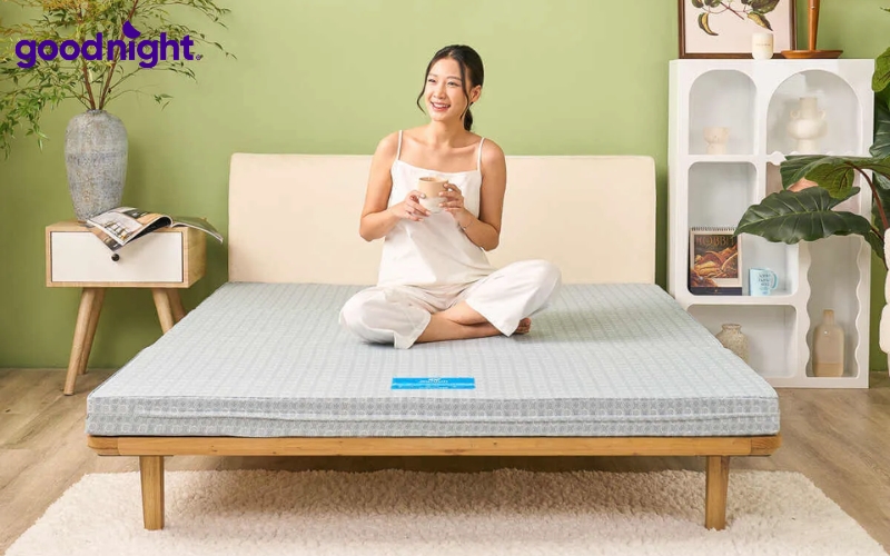 Nệm gấp 3 loại nào tốt? Kinh nghiệm chọn mua & TOP 7 mẫu chất lượng 5 Wonjun Pure & Fresh