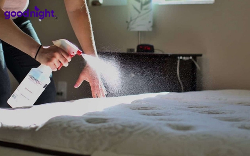 Top 5 mẫu nệm gấp văn phòng & Kinh nghiệm chọn mua 8 Một chiếc nệm gấp văn phòng được vệ sinh đúng cách giúp không gian nghỉ trưa luôn sạch sẽ, thơm mát