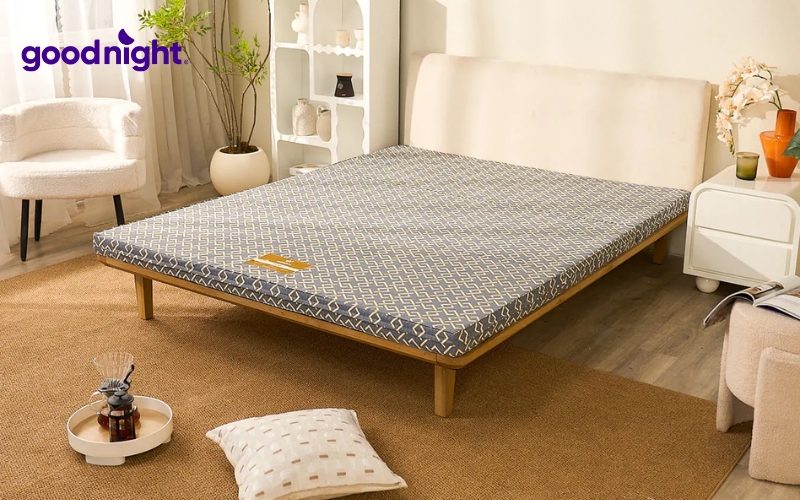 TOP 7 mẫu nệm giá 2 triệu chất lượng, uy tín 3 Nệm bông ép