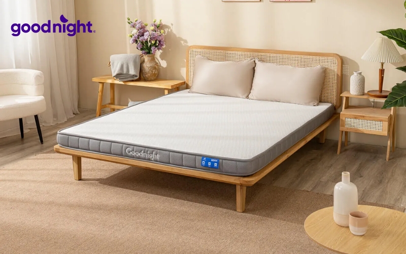 TOP 7 mẫu nệm giá 2 triệu chất lượng, uy tín 2 Nhu cầu tìm kiếm nệm giá 2 triệu đồng ngày càng trở nên phổ biến