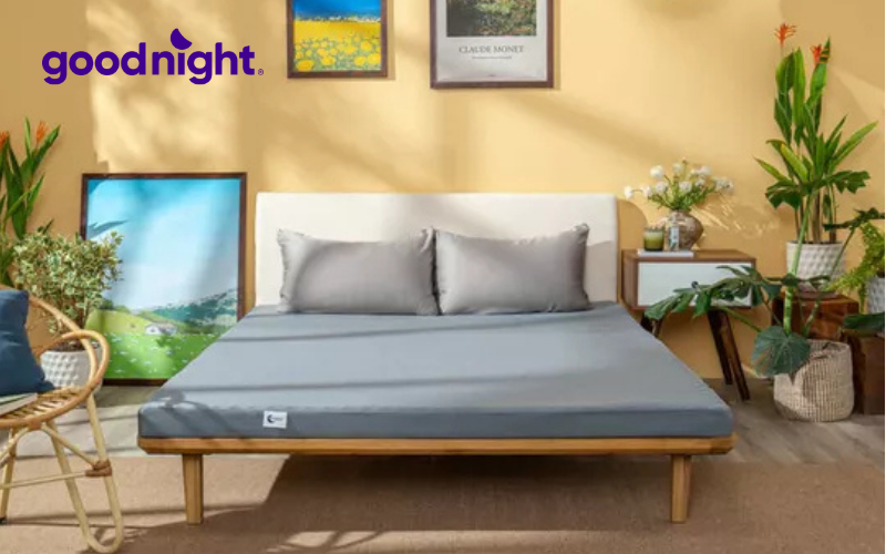 Top 5 mẫu nệm giá 3 triệu được ưa chuộng nhất 2 Massage Nhật Bản Goodnight Osaka