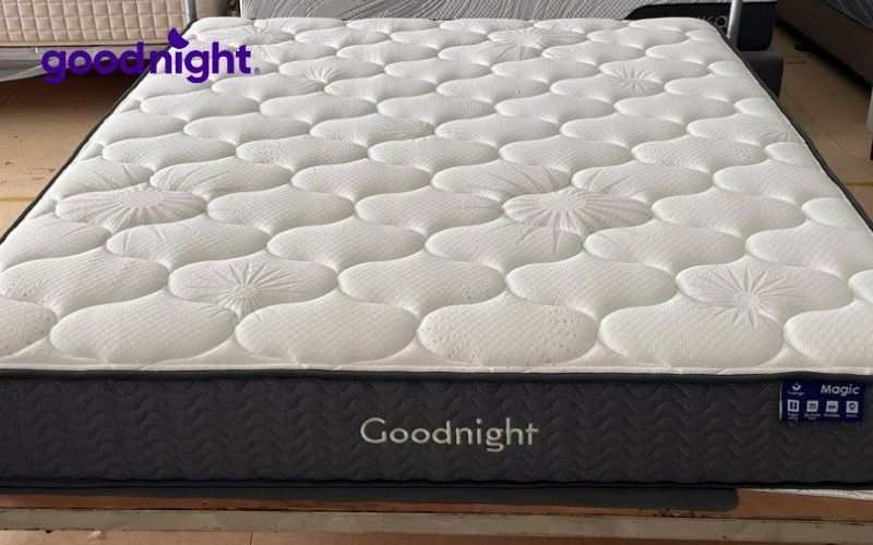 Top 10 mẫu nệm ký túc xá an toàn được tin dùng năm 2025 4 Nệm foam Amando Student