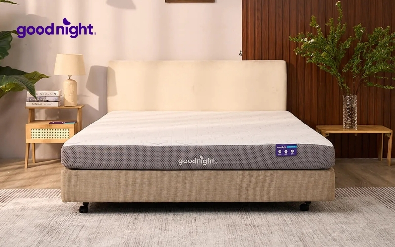 Top 10 mẫu nệm ký túc xá giá hợp lý chất lượng cho sinh viên 4 Nệm Foam Goodnight Massage 2.0 (Hachi)