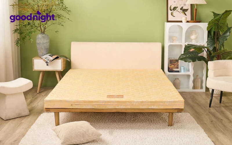 Top 10 mẫu nệm ký túc xá giá hợp lý chất lượng cho sinh viên 6 Nệm Bông Ép Wonjun Pure Carbon