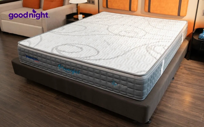 Đệm lò xo 2mx2m2: Bảng giá & TOP 5 mẫu bán chạy hiện nay 6 Kinh nghiệm mua đệm lò xo 2mx2m2 phù hợp với nhu cầu