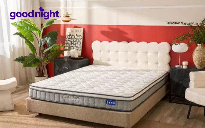 5 Tiêu chí giúp bạn chọn được nệm lò xo của Nhật chất lượng 6 Nệm lò xo Sleep Wave 4.0