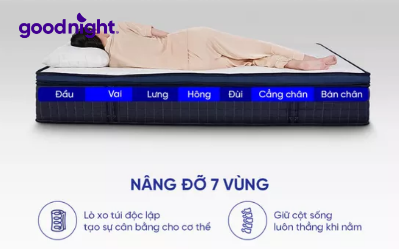 Bảng báo giá nệm dày 30cm cập nhật mới nhất năm 2025 5 Nệm lò xo dày 30cm nâng đỡ 7 vùng cơ thể
