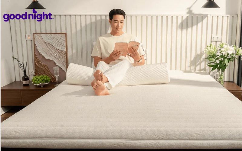 Top 10+ mẫu nệm mềm chất lượng được nhiều người yêu thích 6 Gummi Latex 7zones