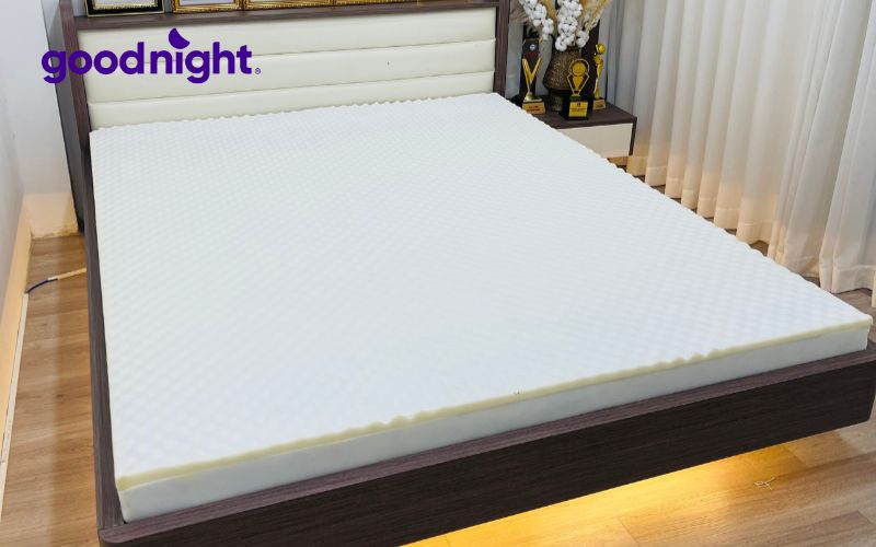 Nệm mini là gì? Top 9 mẫu nệm mini được ưa chuộng 2025 10 Nệm cao su non Trung Nguyên