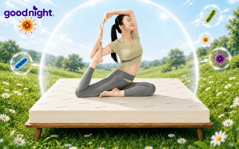 11 mẫu nệm mỏng uy tín, chất lượng, giá tốt 2026 5 Nệm cao su thiên nhiên Gummi Classic